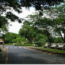 Campus Umuarama - Estacionamento